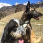 Nachrichten von Alix