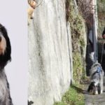 Alix vom Bergischen Geläut findet nach zwei Stunden stark unterkühlte Frau