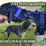 Vom Personenspürhund zum Jagdgebrauchshund