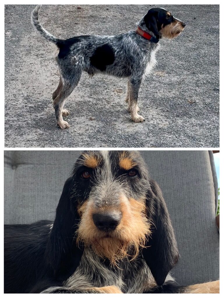 Der I-Wurf ist angekommen!